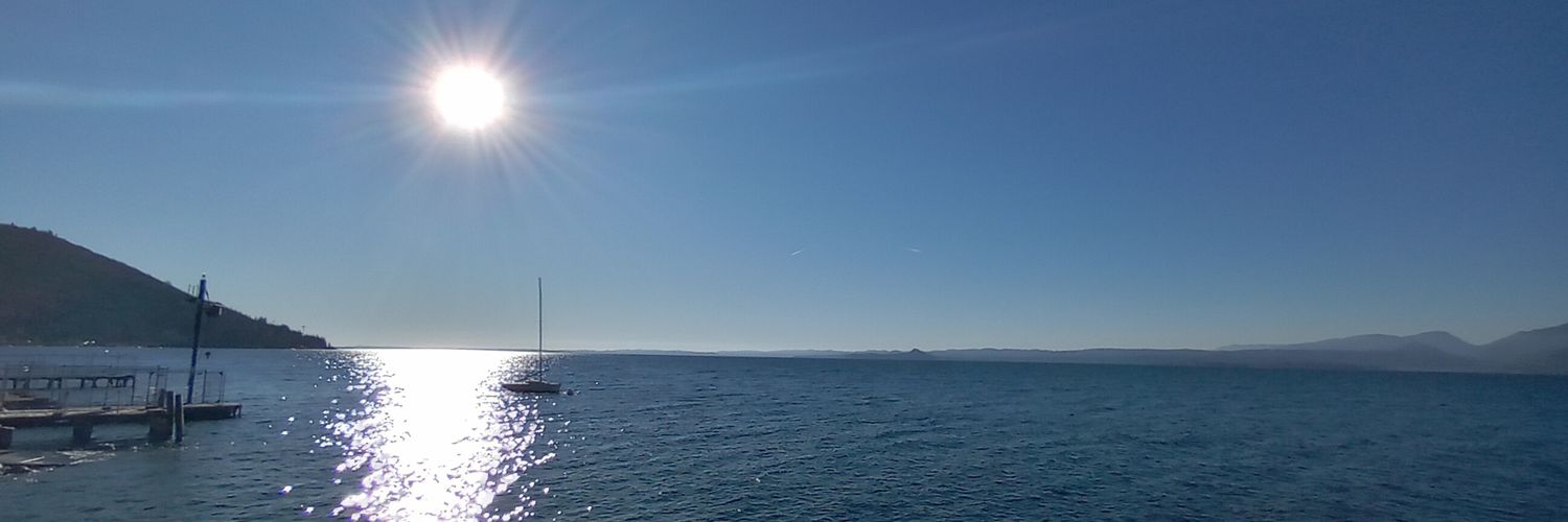 Federica Cristani banner