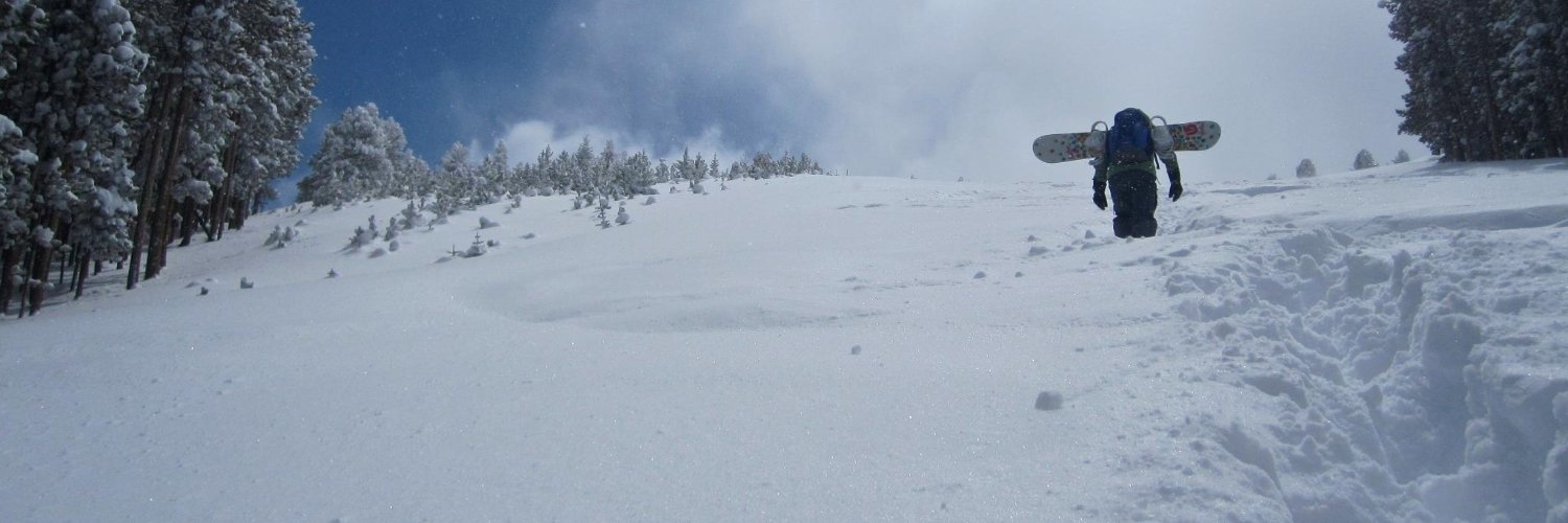 treewerk's profile banner image