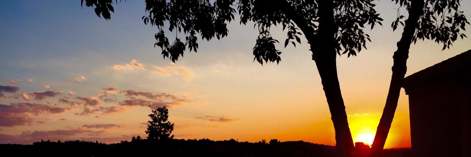aniita_3's profile banner image