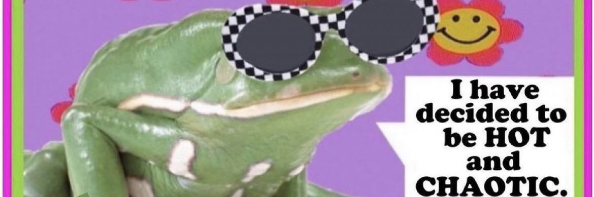 hot and chaotic banner