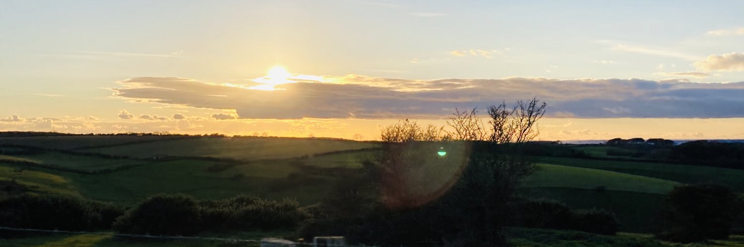 zoelouwil's profile banner image