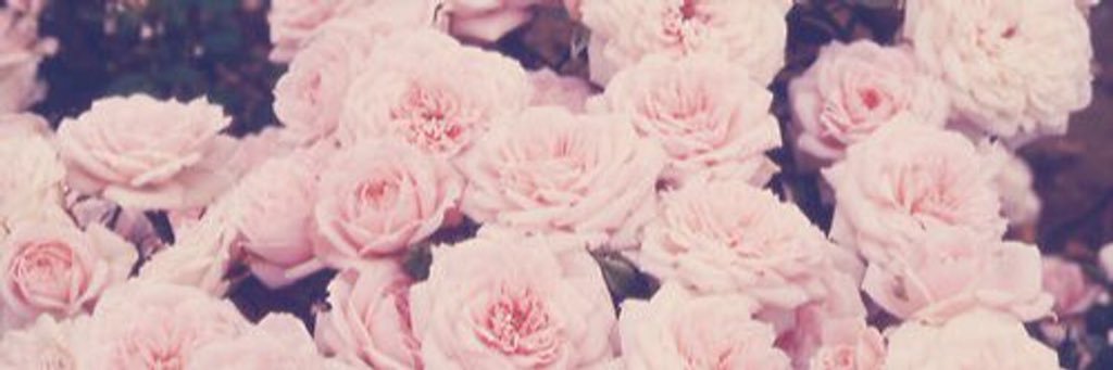 caitycoyle's profile banner image