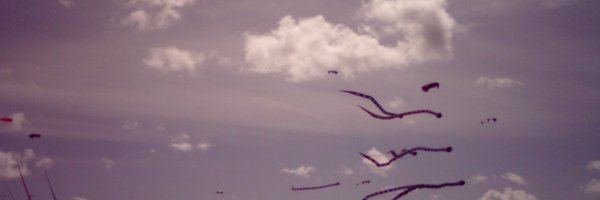 r_bnoone Profile Banner