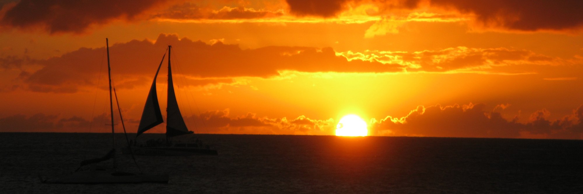 Madalina Fiterau banner