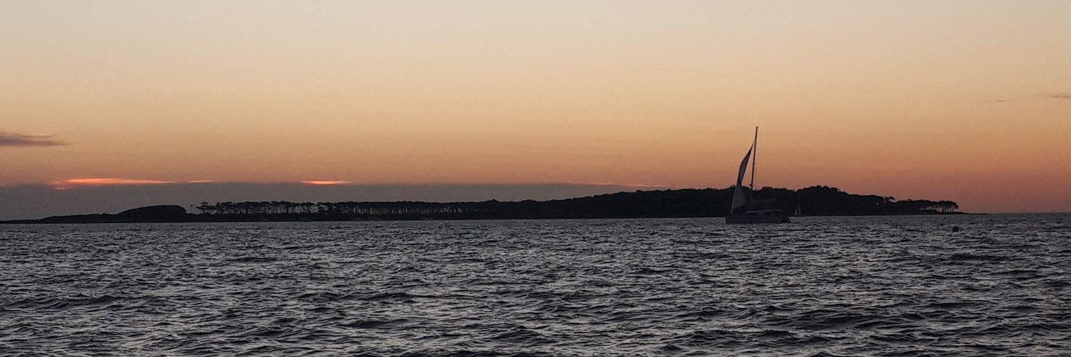 LuLandivar's profile banner image
