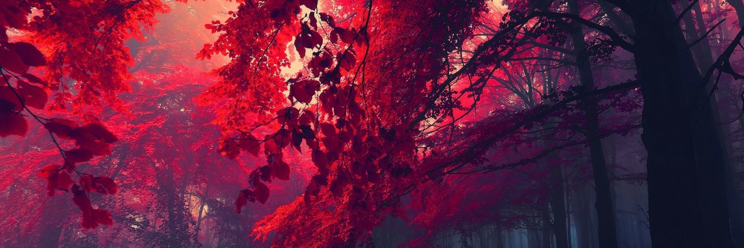dougwheeler24's profile banner image