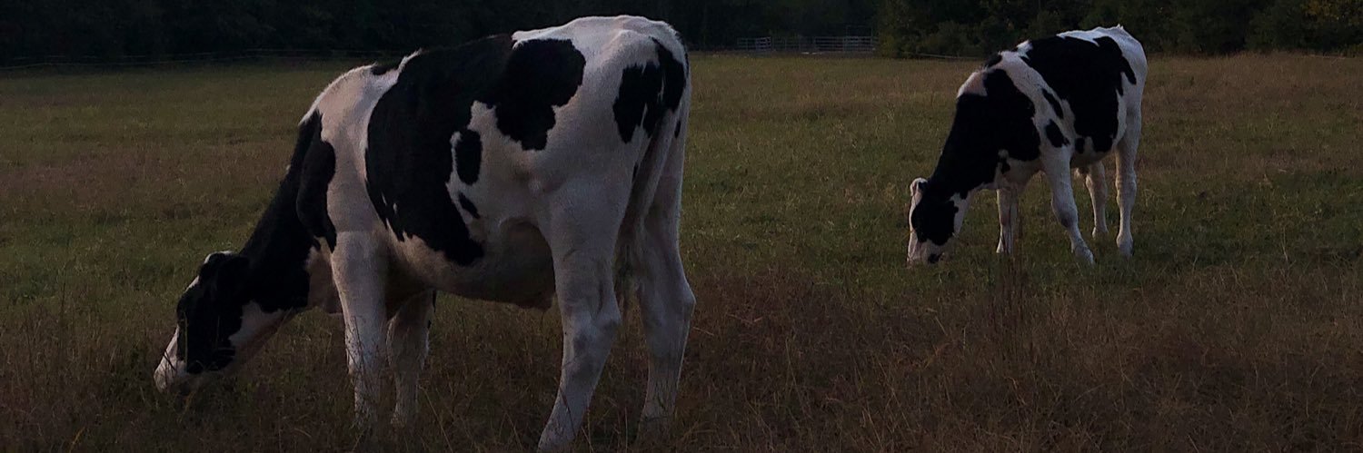 sleigh974's profile banner image