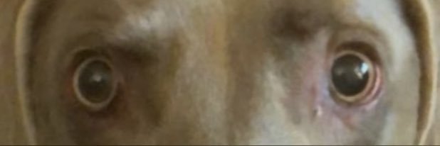 J_WaIk's profile banner image