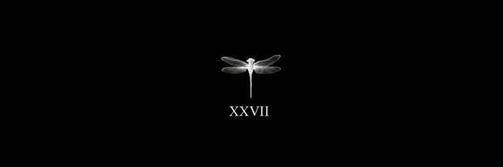 lentinlmj's profile banner image