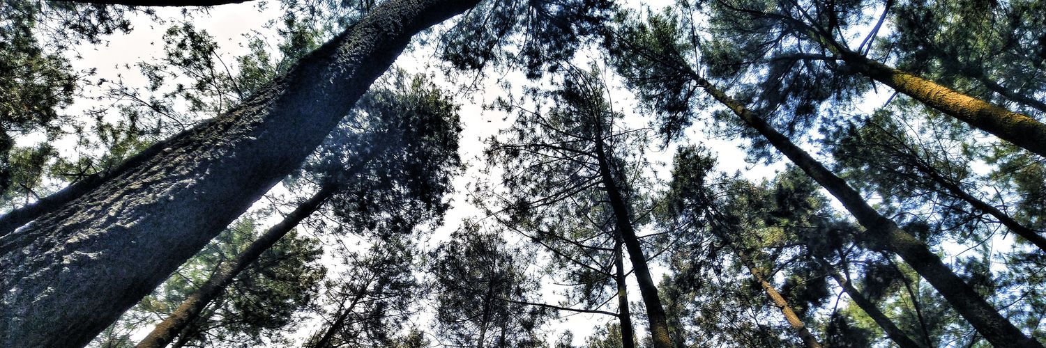 fajargibran's profile banner image