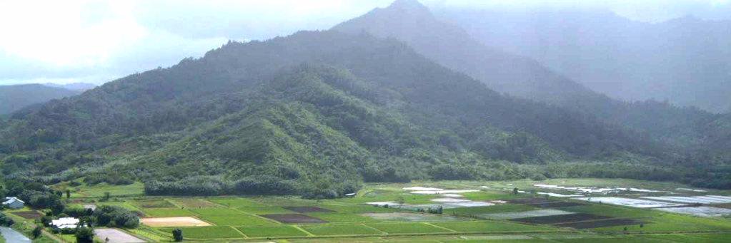 Hawaii Farm Bureau banner