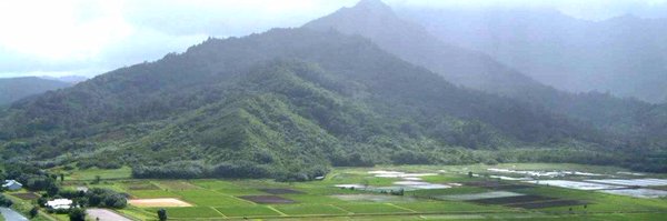 HFBF1 Profile Banner