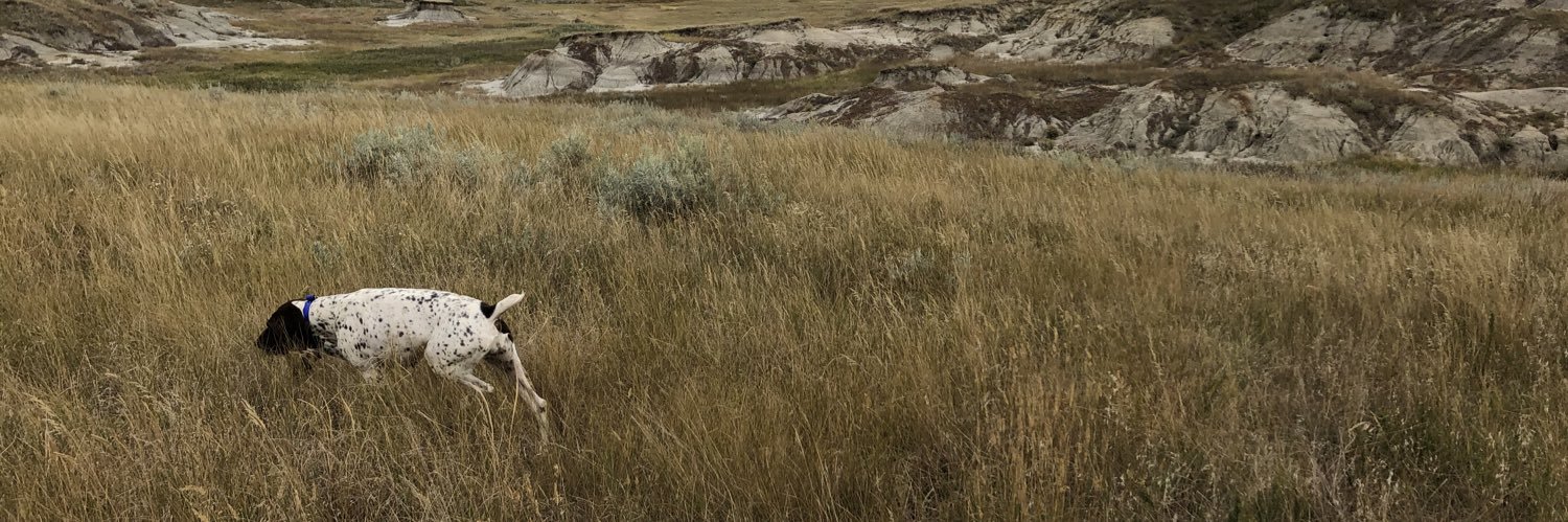 willgmorgan's profile banner image