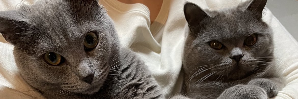 ge_tomo's profile banner image