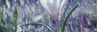 ProfeIda's profile banner image
