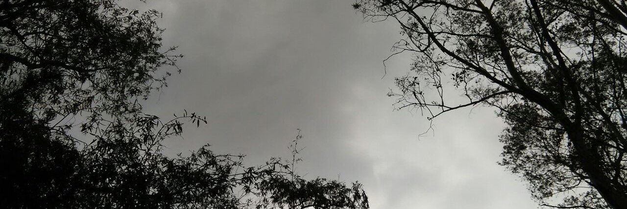 HEnsaldo's profile banner image