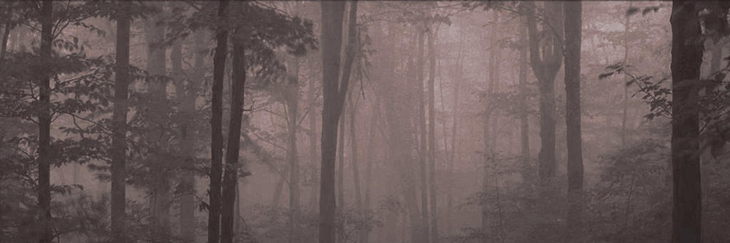 aliceobright's profile banner image