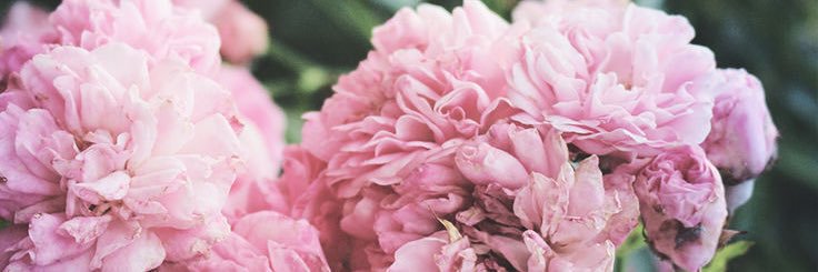 HeatherS512's profile banner image