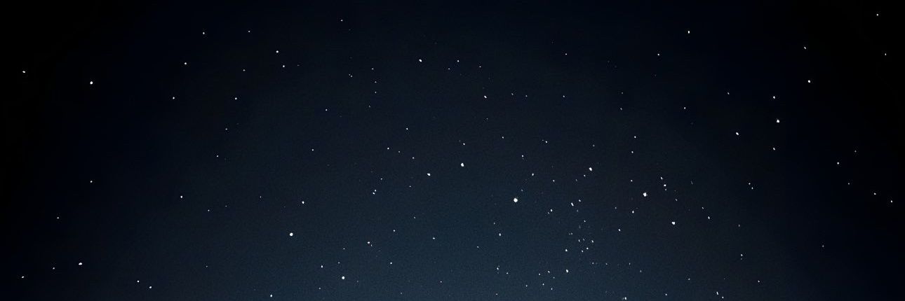 WwW's banner