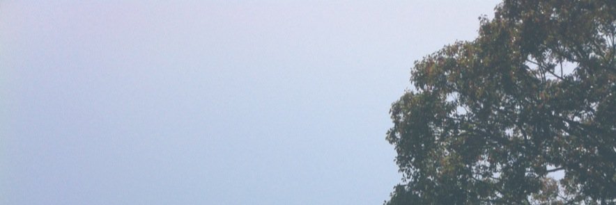zinethip's profile banner image