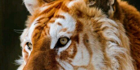 payrud's profile banner image