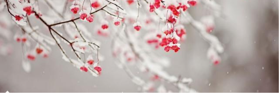MariaPGilabert's profile banner image