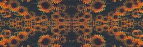 hannahyarger's profile banner image