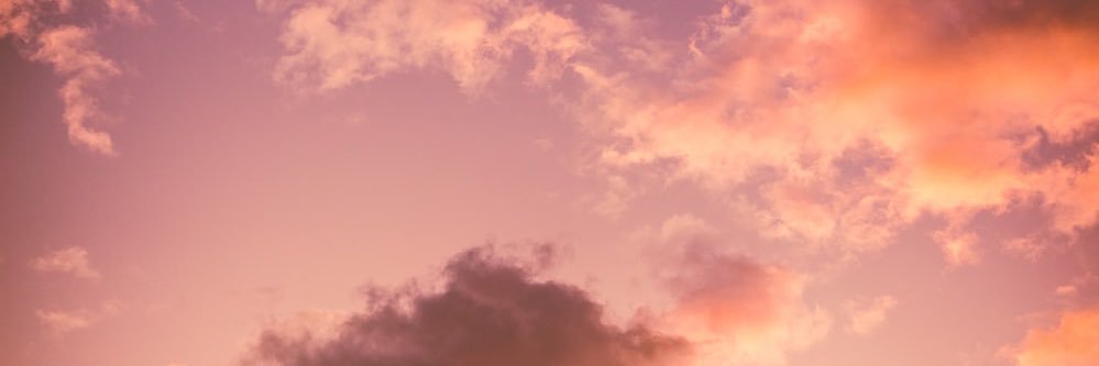julia_stoyles's profile banner image