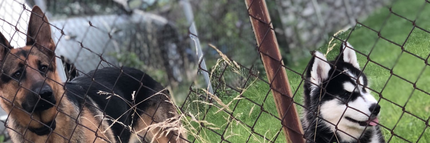 dbucko2's profile banner image