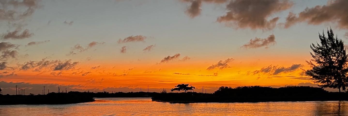 beneviera's profile banner image