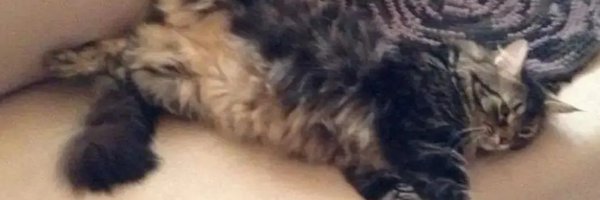 MagosNava Profile Banner