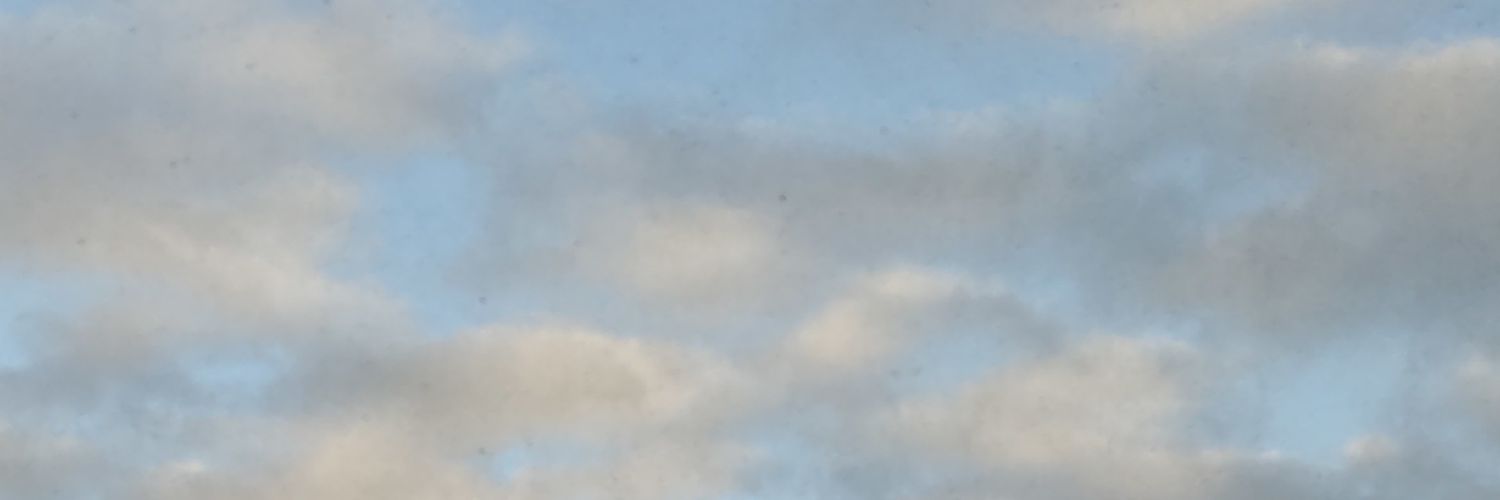 lekaaafernandes's profile banner image