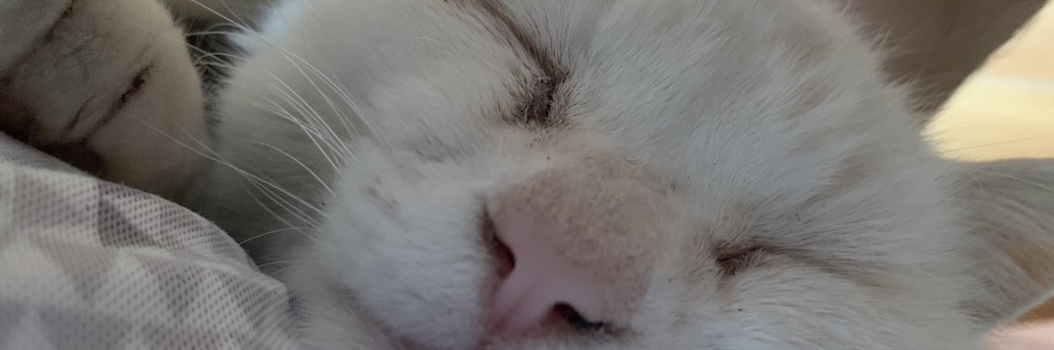ultimate28's profile banner image