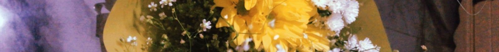 soll2906's profile banner image
