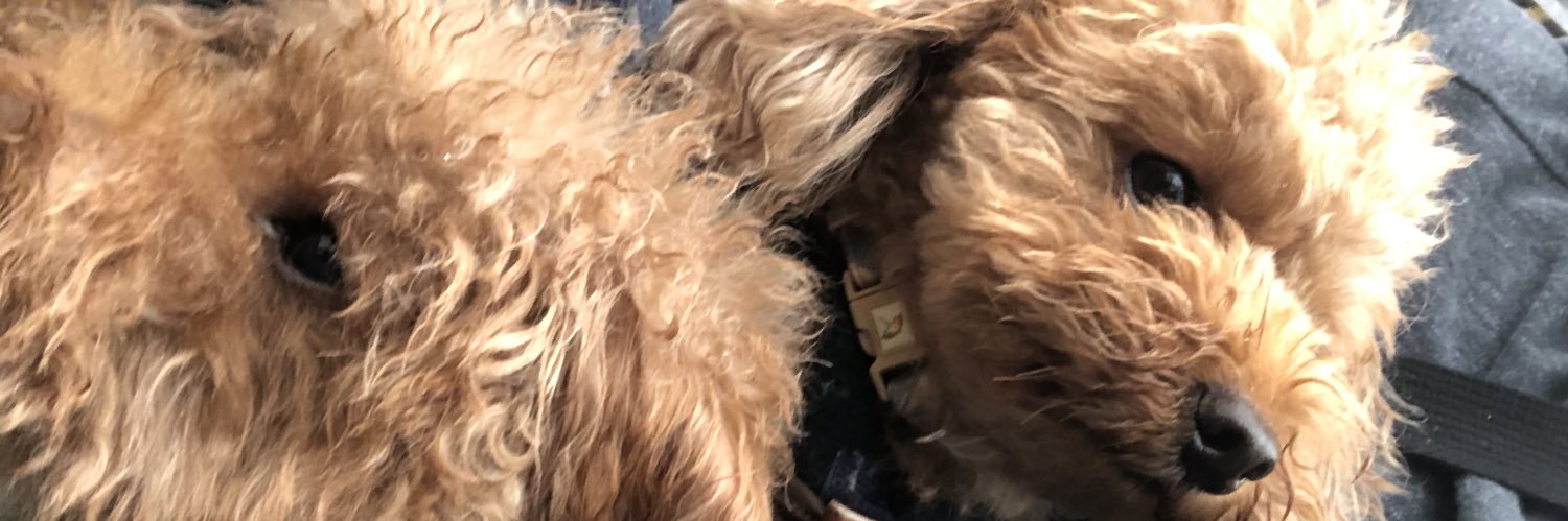 kintam3's profile banner image