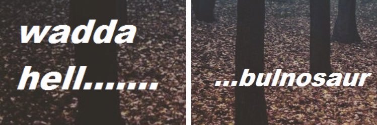 chillskeleton's profile banner image
