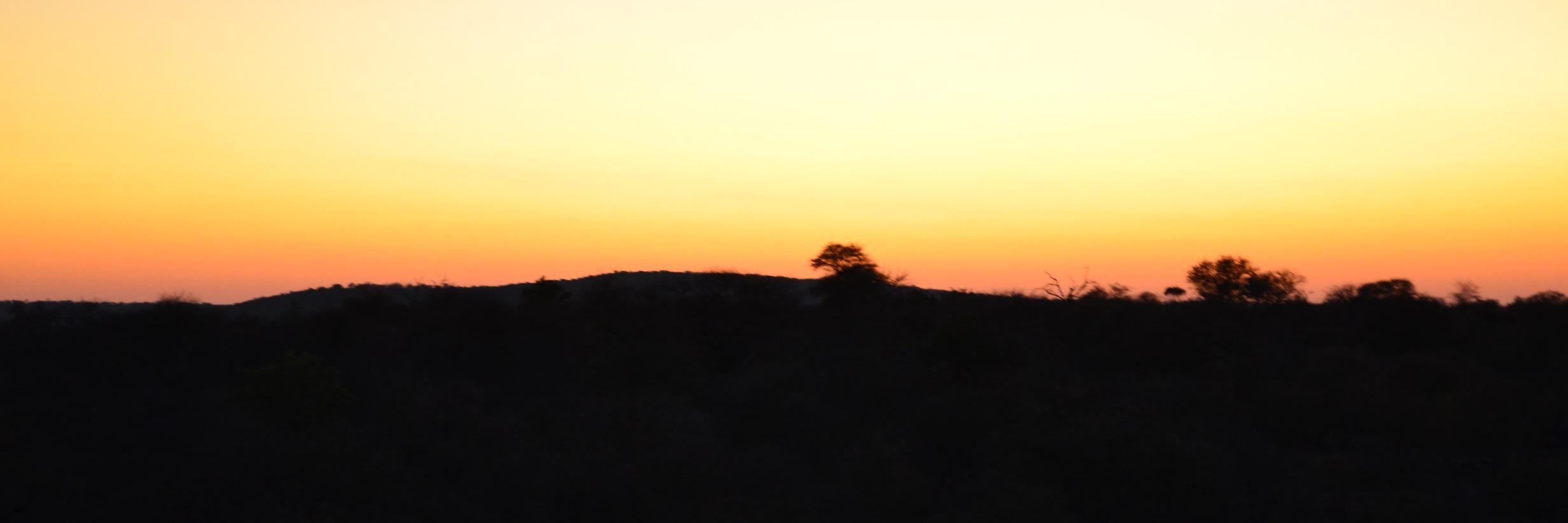MattSHiatt's profile banner image