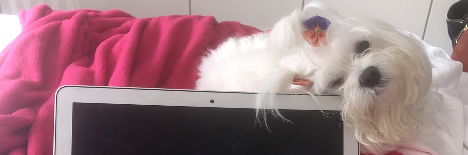 mariaclarad's profile banner image