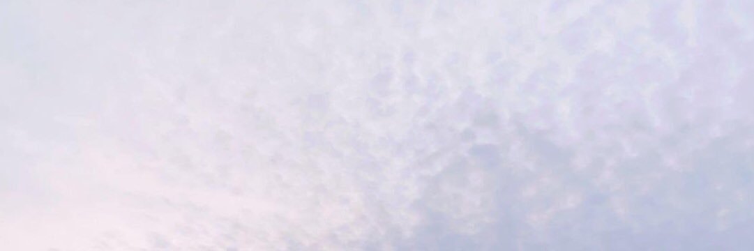 tintin01Q's profile banner image