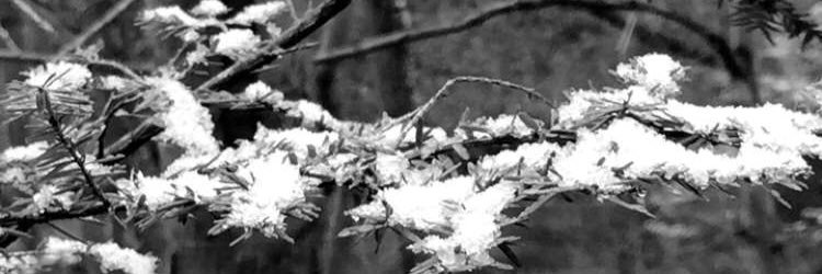EvynW's profile banner image
