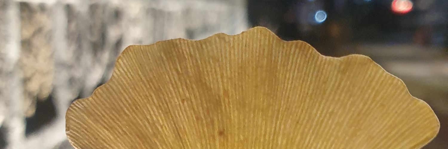 lbgabc's profile banner image