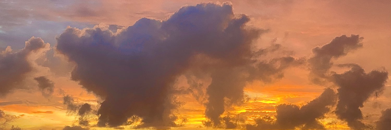 POPIER1's profile banner image