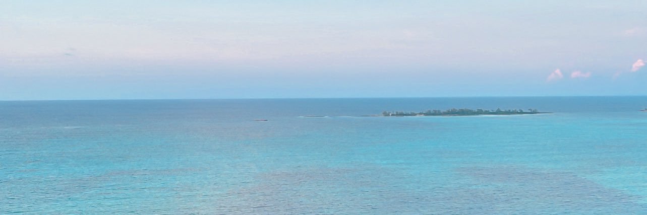 clairetorrans's profile banner image