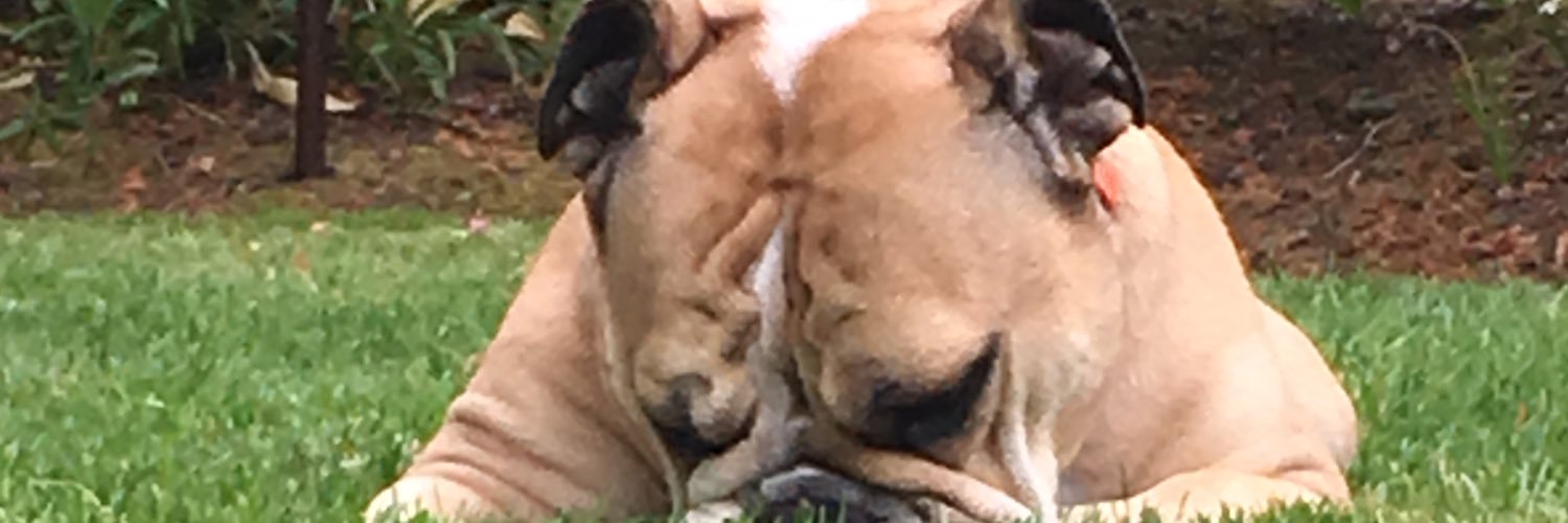gregtammyl's profile banner image