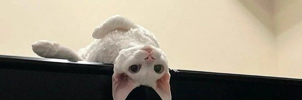Gehodgeskip's profile banner image