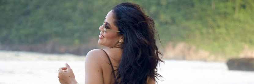 Linette de los Santos banner