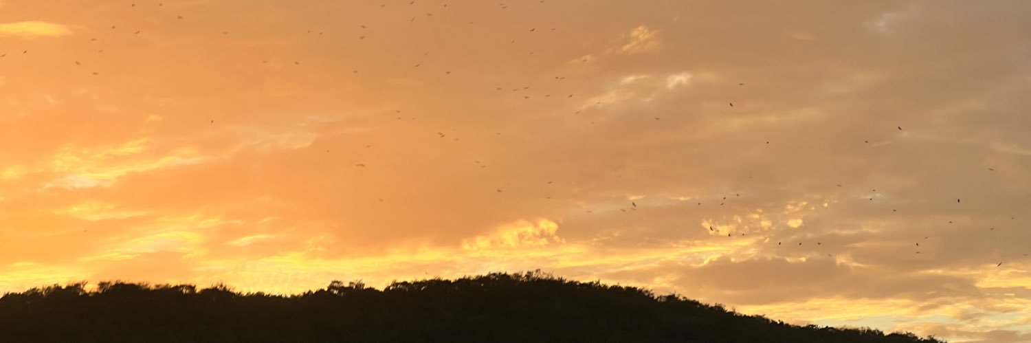 carmenlucc's profile banner image
