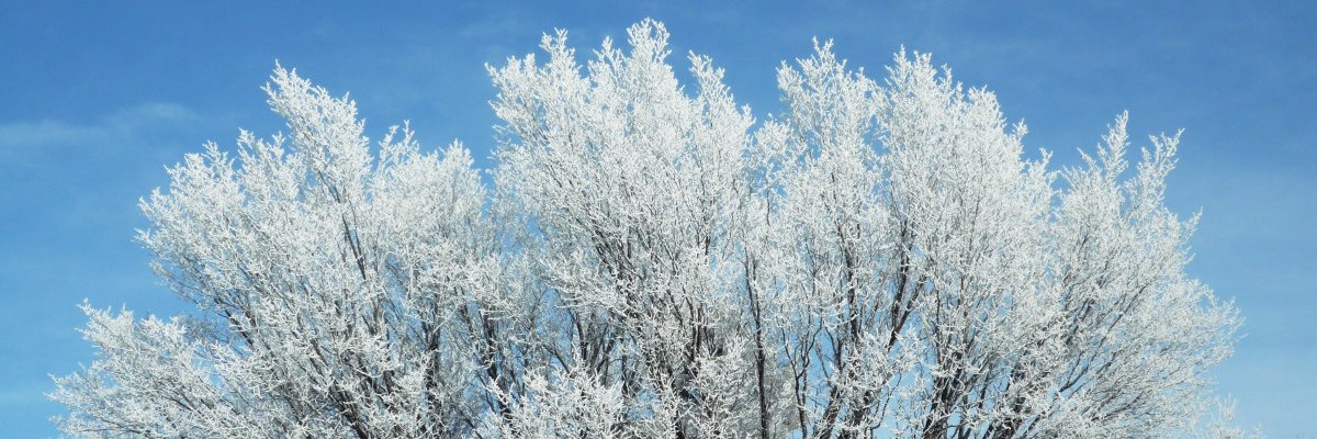 tweetharderlibs's profile banner image