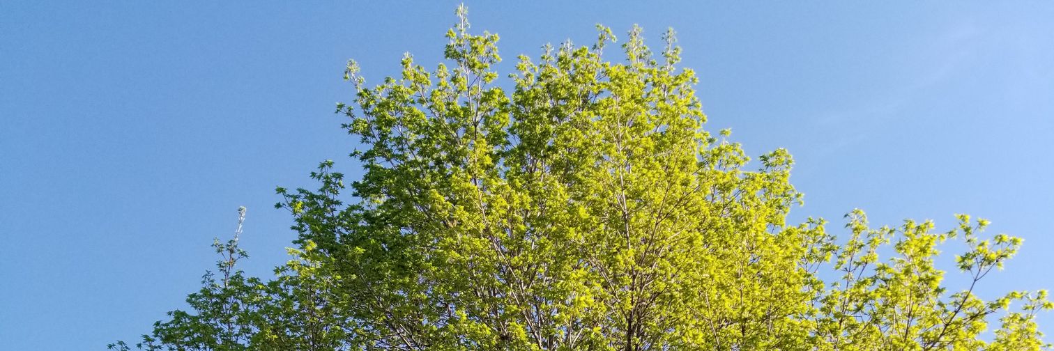 stonepatberg's profile banner image