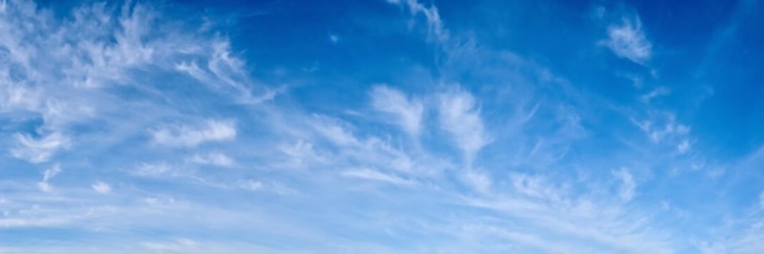 phoenixsong2's profile banner image